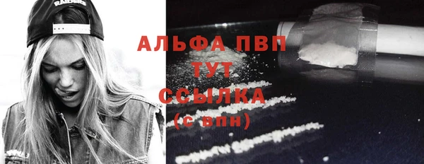 СК Абинск